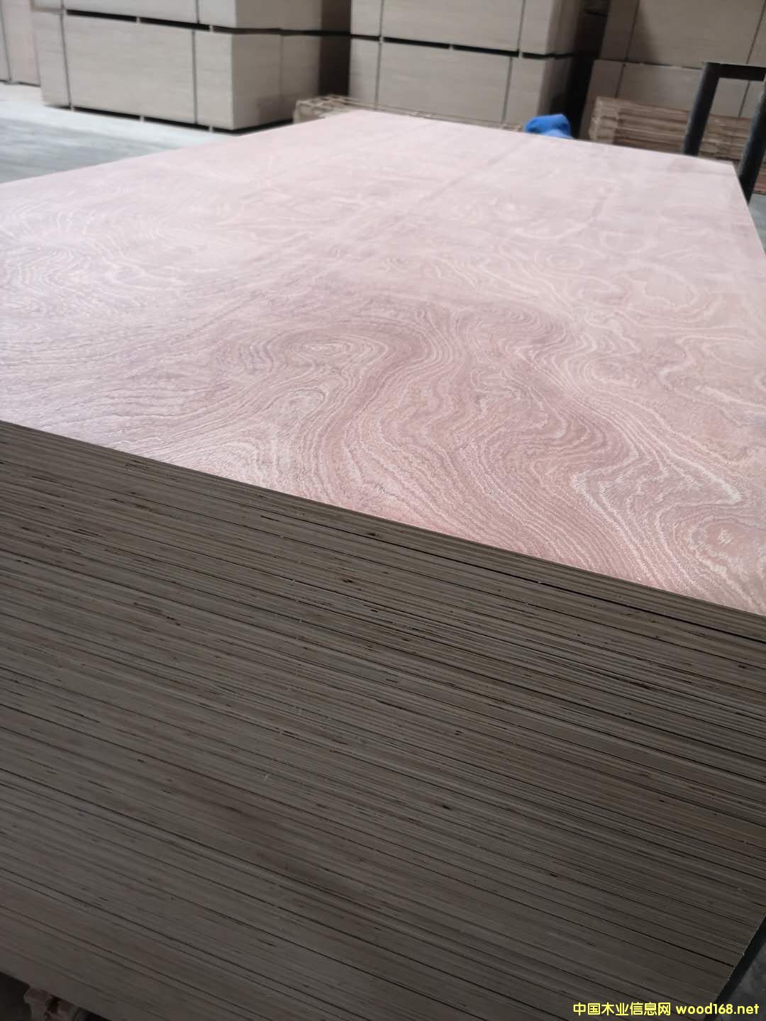 ��ĵ�Ԕ����B