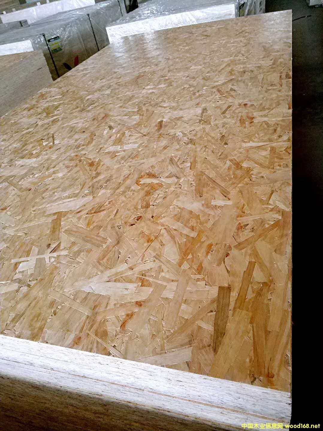 [��] OSB�W�ɰ�---��ǧ����ɽ�|��֮��ľ�I