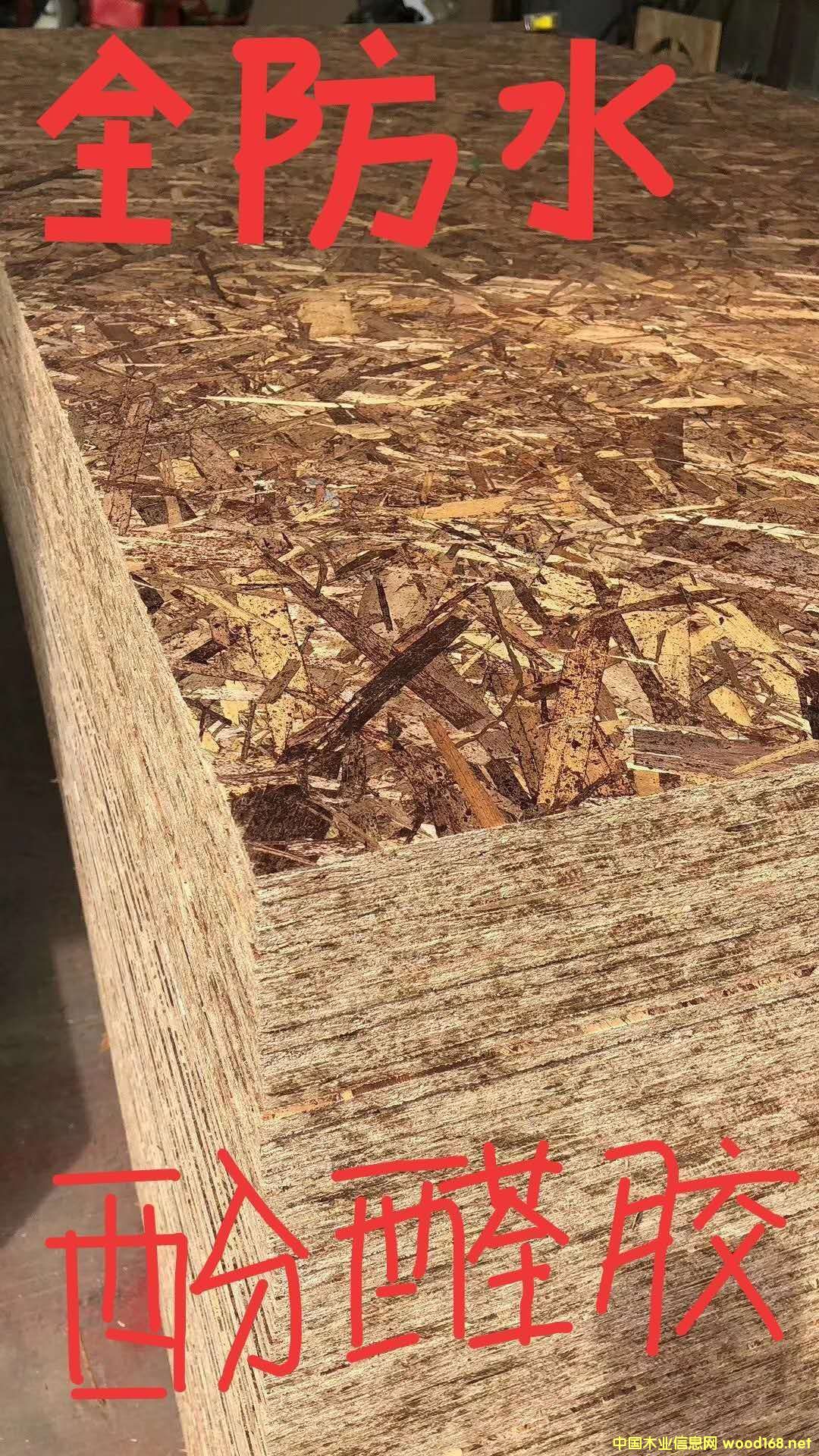 [��] ��ˮ����OSB�W�ɰ�