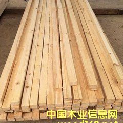 �_����ɼԭľ���l