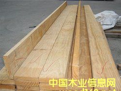 �c���鿴����ľ���Ŵ�DƬ