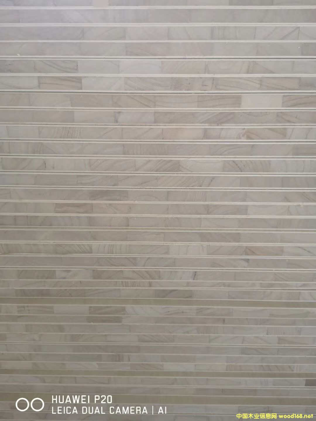 ��ĵ�Ԕ����B