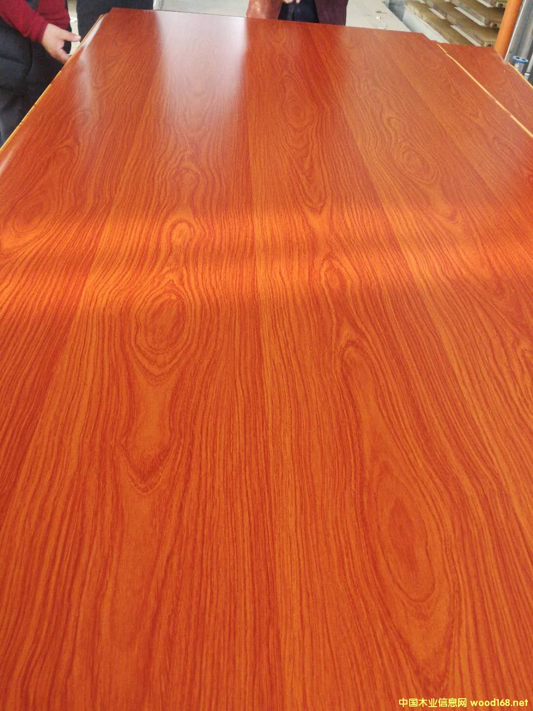 ��ĵ�Ԕ����B