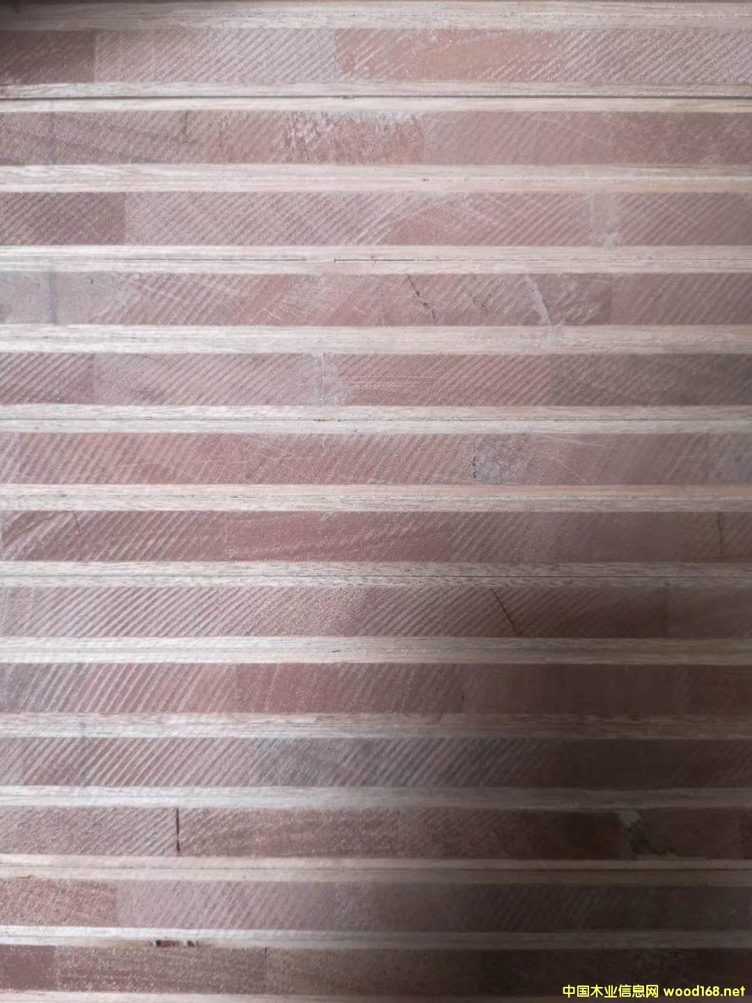 ��ĵ�Ԕ����B