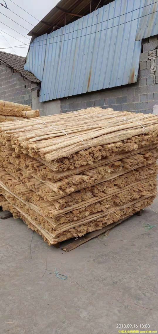 �ؽMľ��ë�񣩵�Ԕ����B