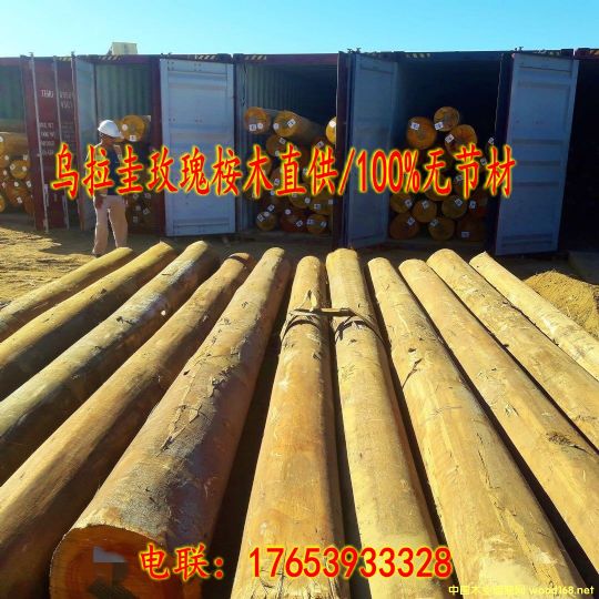 ������õ����ľԭľֱ��/100%�o����/FSC�J�C��Ԕ����B