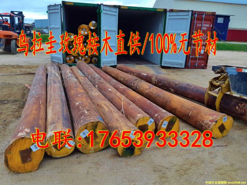 �M��õ����ľԭľ/100%�o���ĵ�Ԕ����B