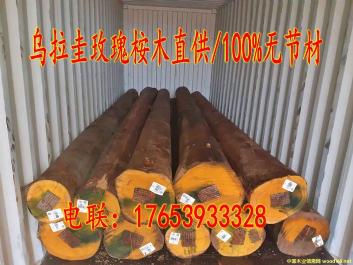 �M�ڞ�������ľԭľ/�o�Y����Ԕ����B