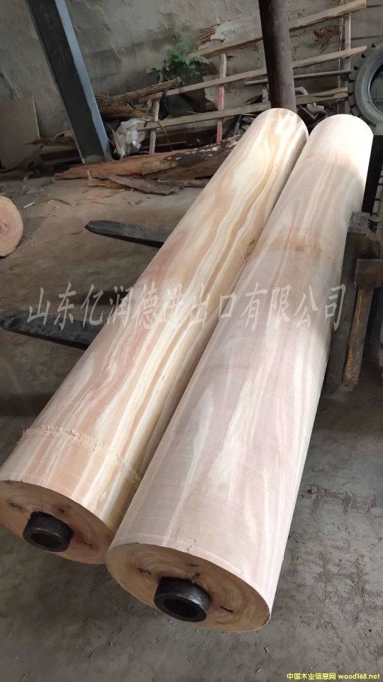 �����M����֦��õ����ľԭľ��Ԕ����B