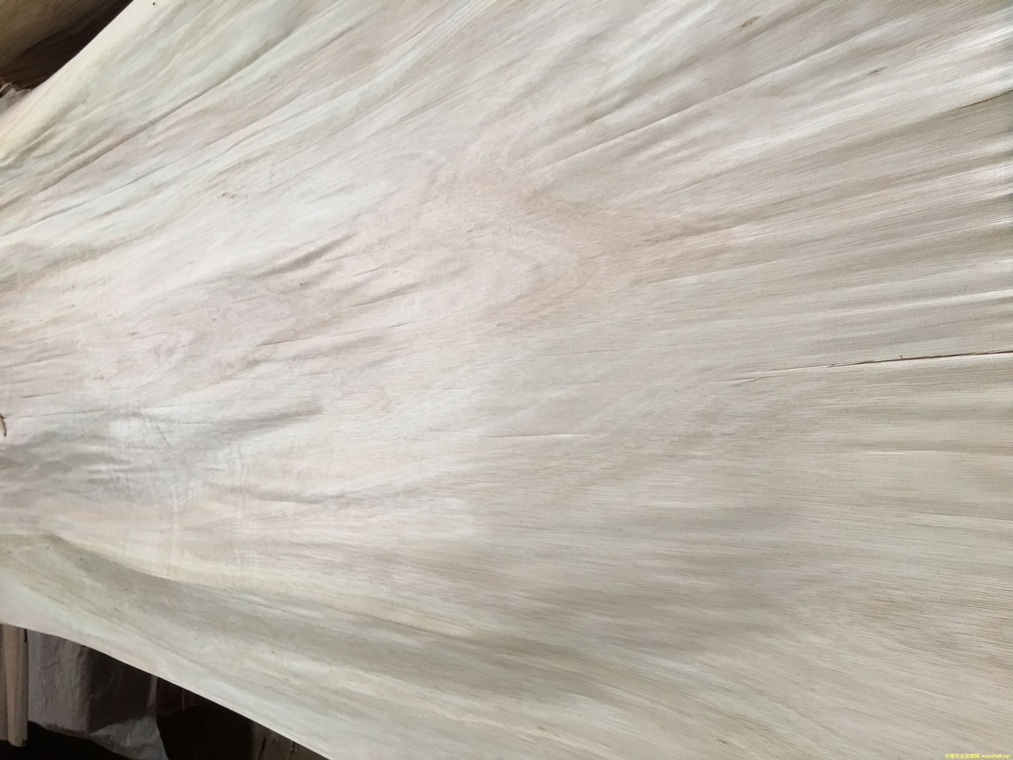 ��������ľ���a��Ƥ�������ʸߵ�Ԕ����B