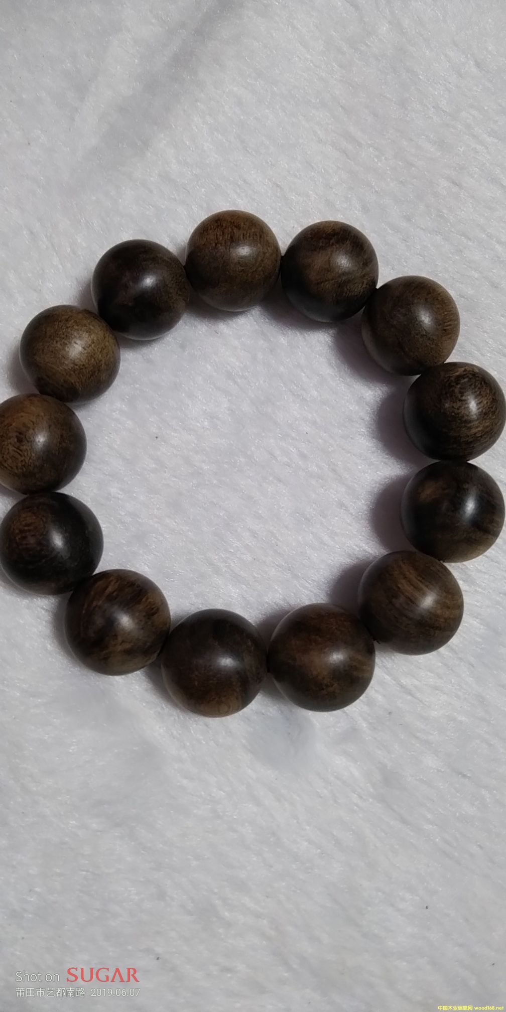 ���������Ԕ����B