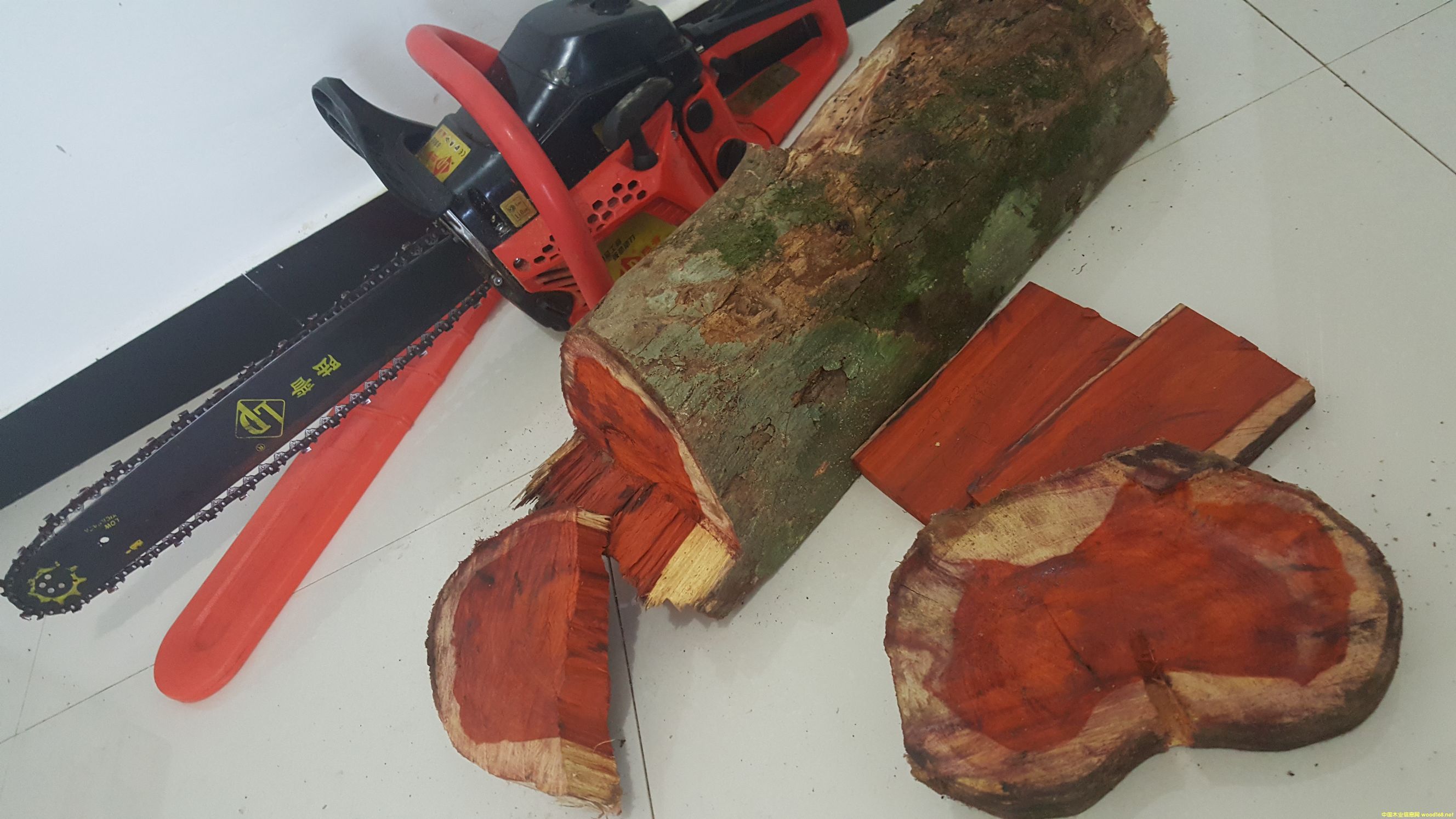 ��̴ cam wood��Ԕ����B