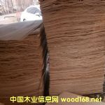 ��ľƤ�ӵ�Ԕ��(x��)��B