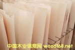��ľƤ�ӵ�Ԕ��(x��)��B