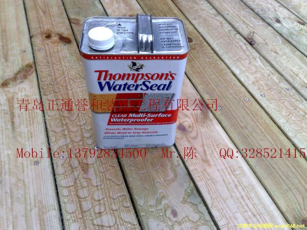 ����(gu��)��ķ�dˮ��Ϳ��