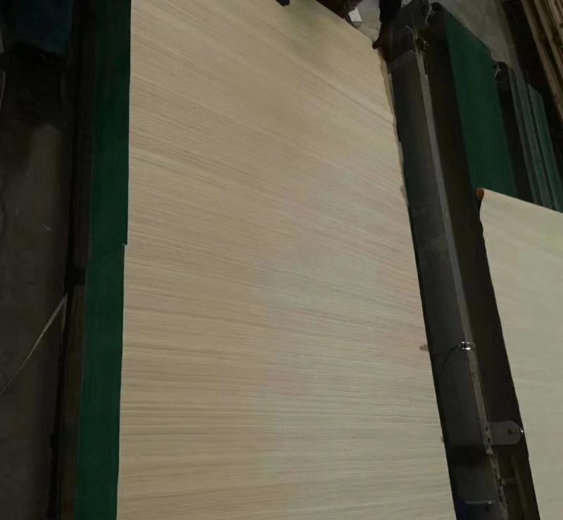 ���L���ή��͙M�y���w�S�Ƽ�ľƤ48�߸��NҎ��