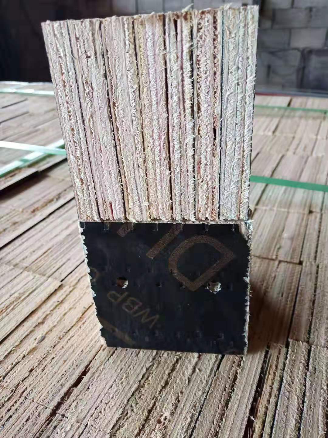 ģ���_��