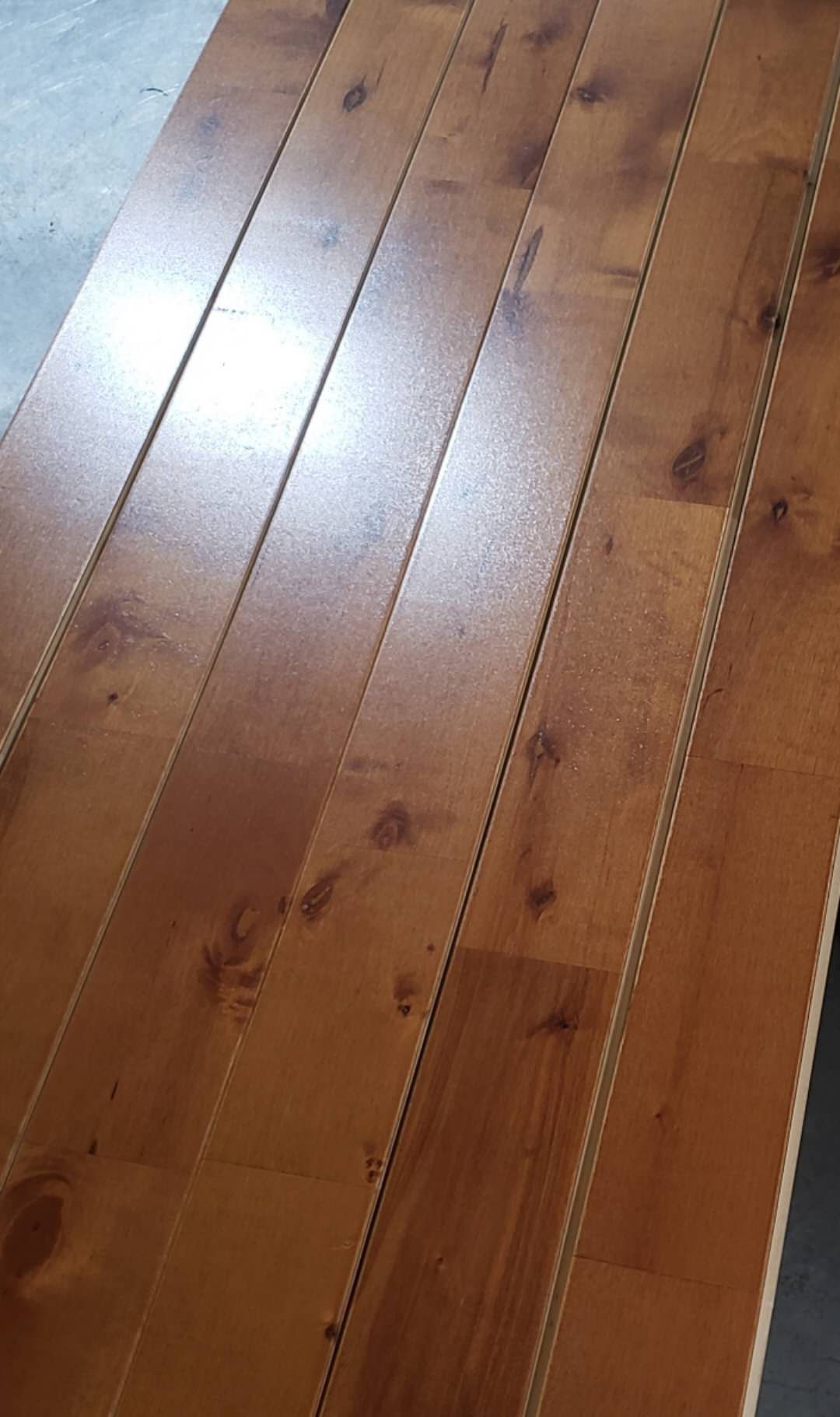 ����ľC����