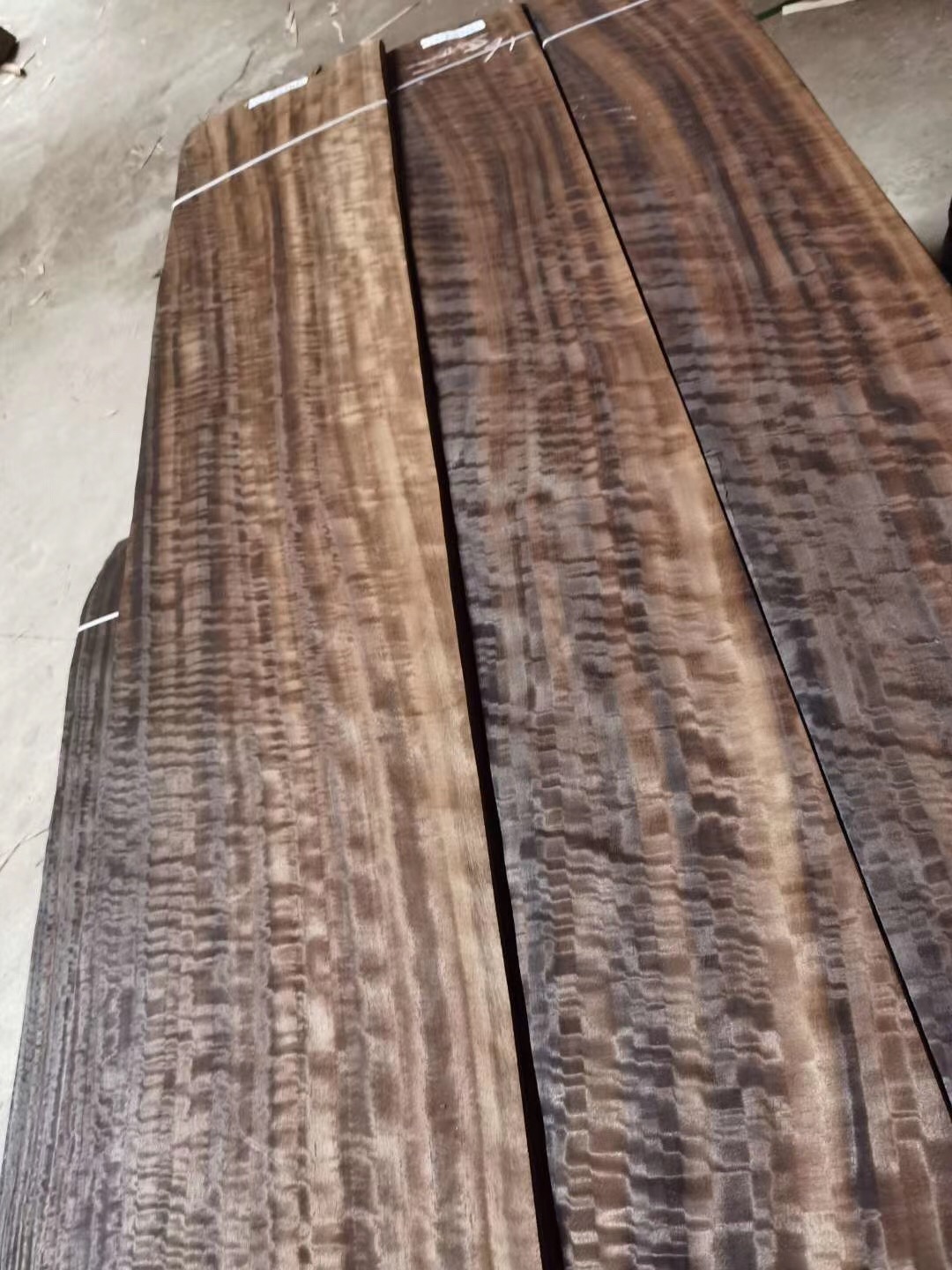 ��Ѭ�ȼ�����Ӱ��Ԕ��(x��)��B