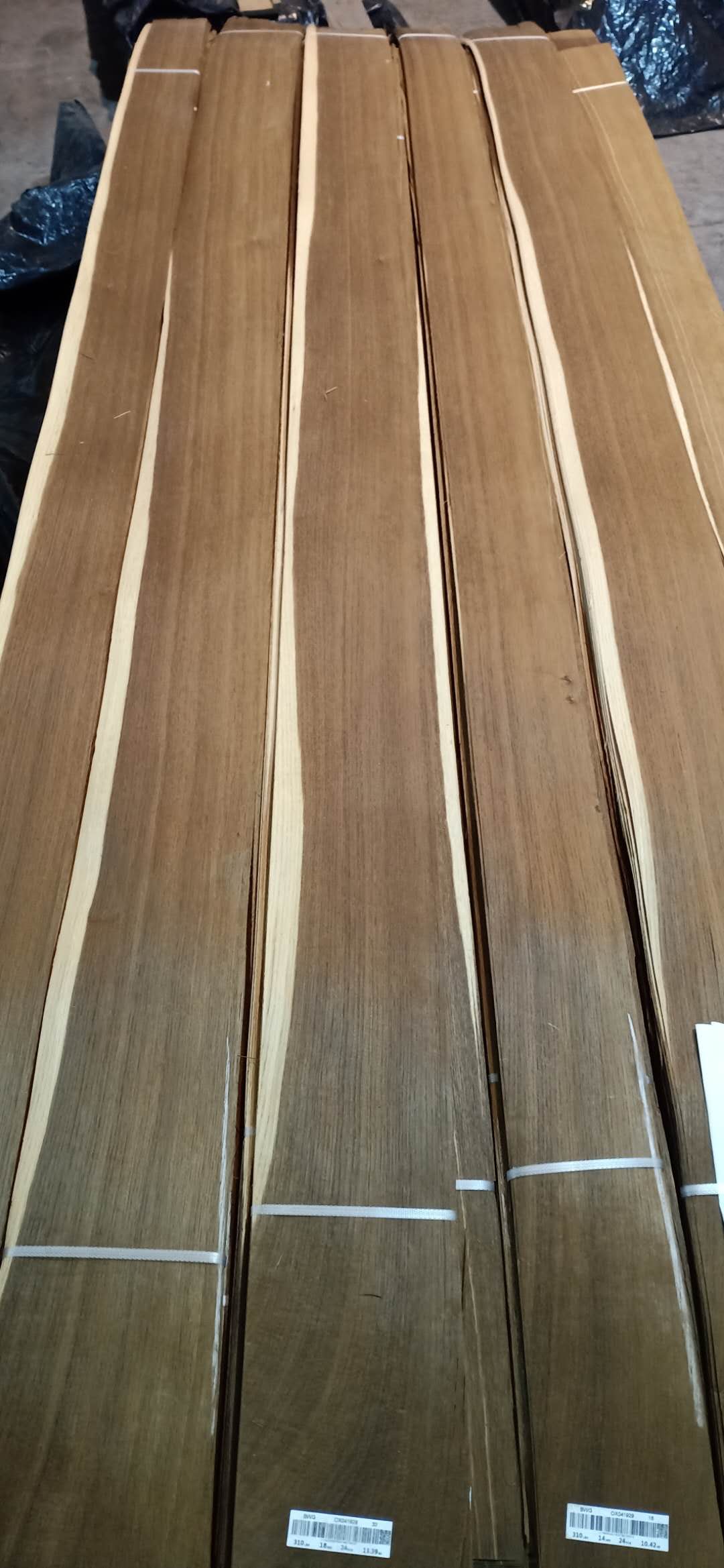 ��Ѭ��ľ��Ԕ��(x��)��B