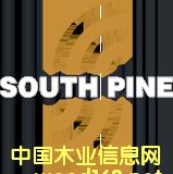 [��] ����؛�������mSouthpineݗ���ɼҾ߼�(j��)