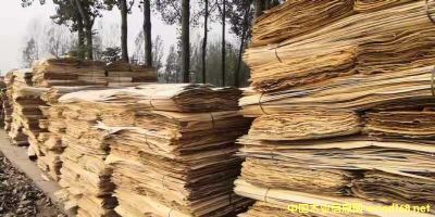 ȫ��ľ�ΰ��Ԕ����B