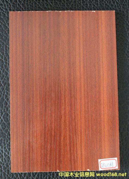 ���B��-ɳ������Ԕ����B