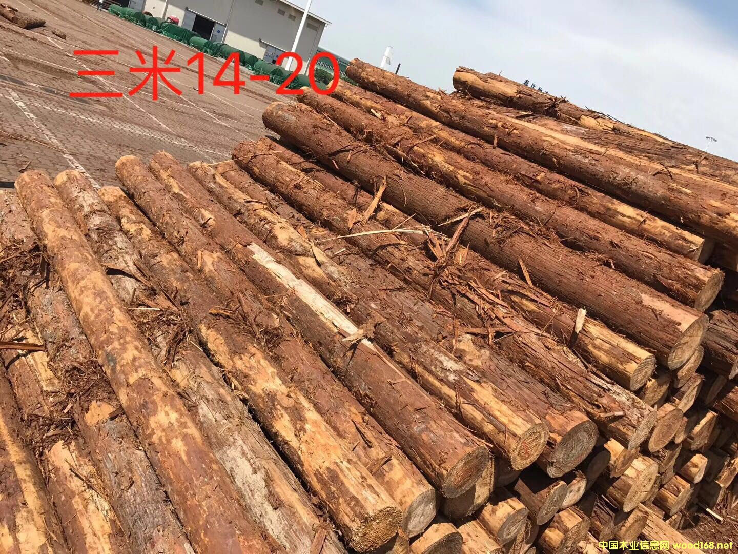 ��ɼ��Ԕ����B