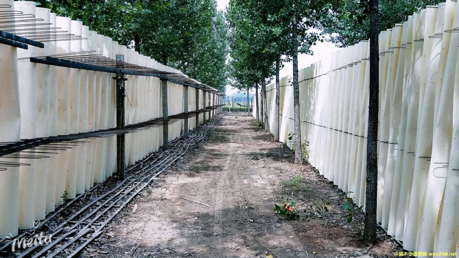 �������Ԕ����B