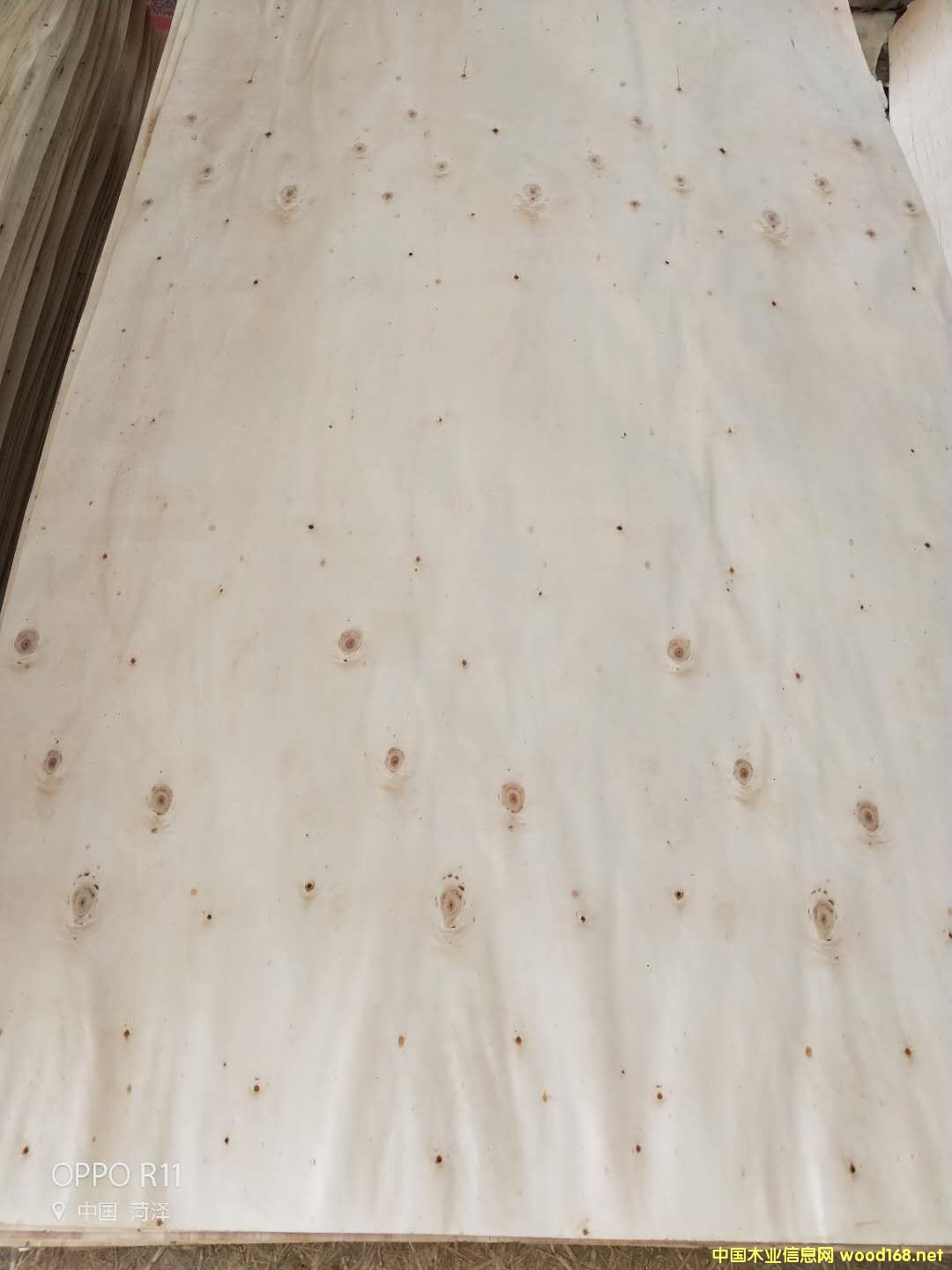  ��Ԕ����B