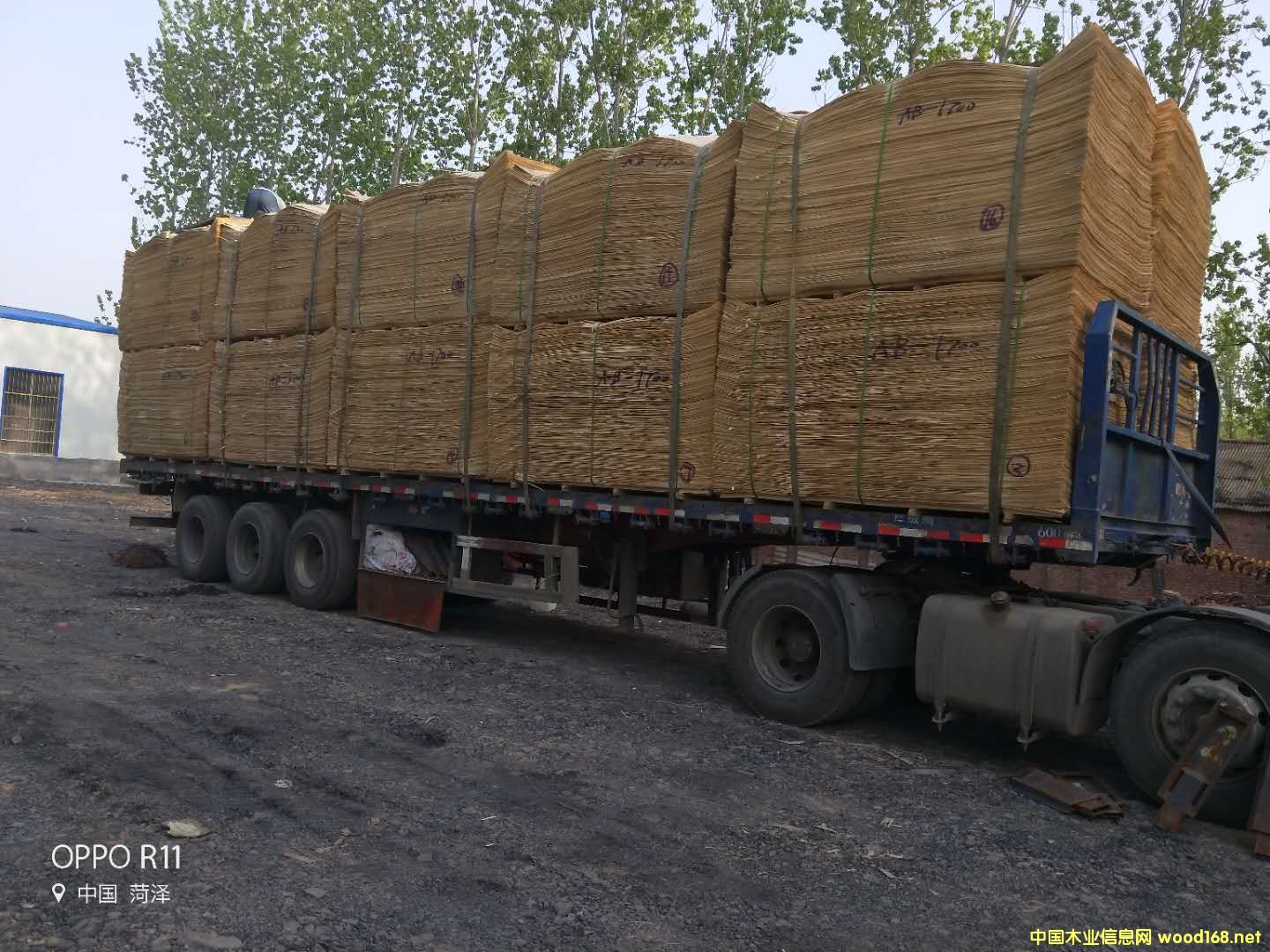  ��Ԕ����B