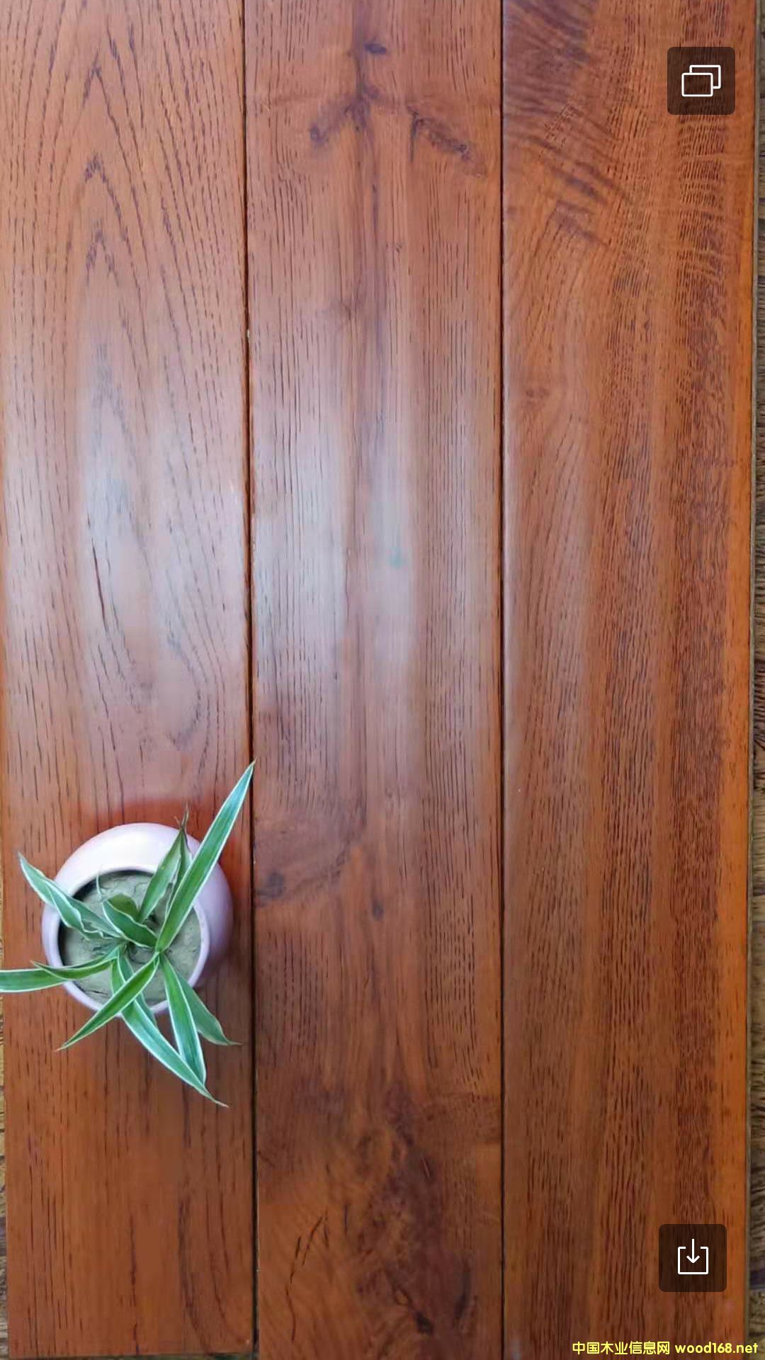 ��ľ�ذ�