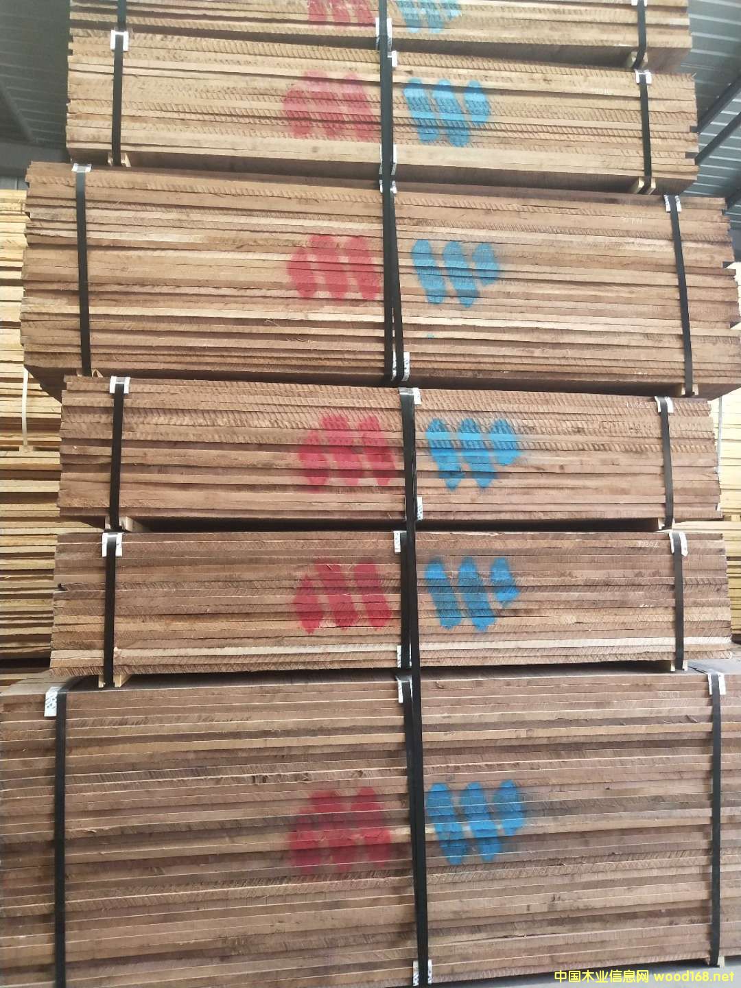 �ں��Ұ�ĵ�Ԕ����B