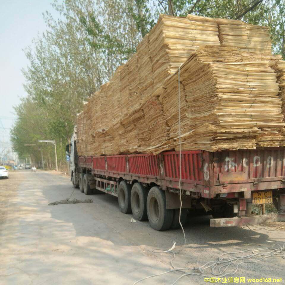 ��ľ��ƴ��Ԕ����B