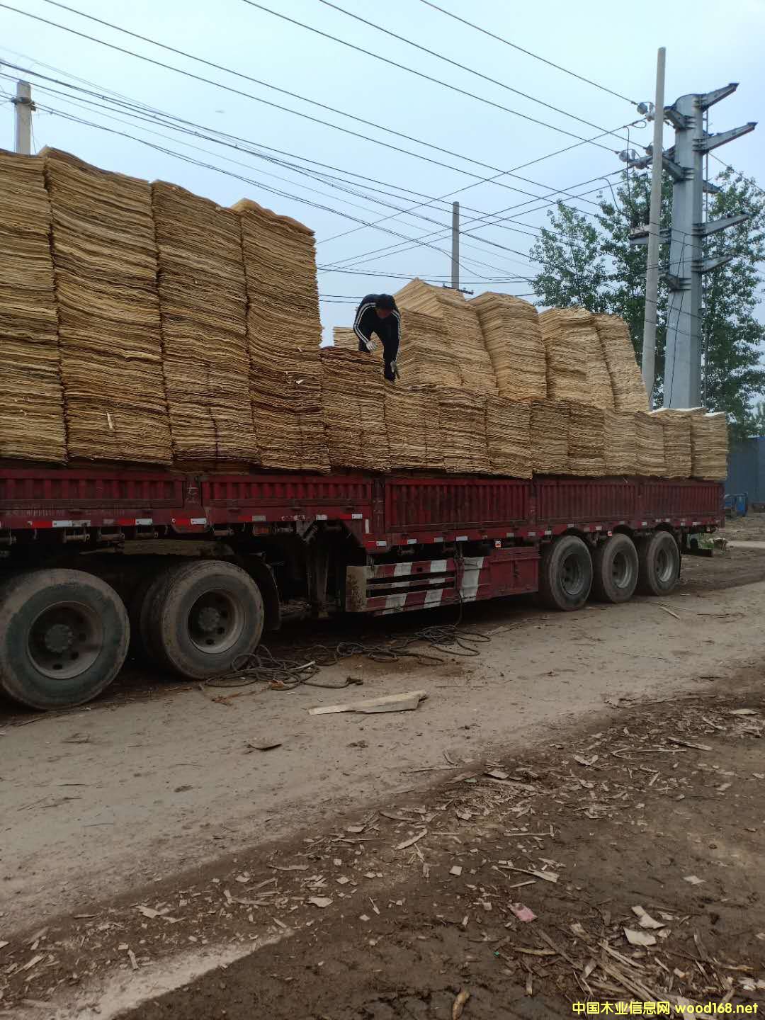 ��ľ��ƴ��Ԕ����B