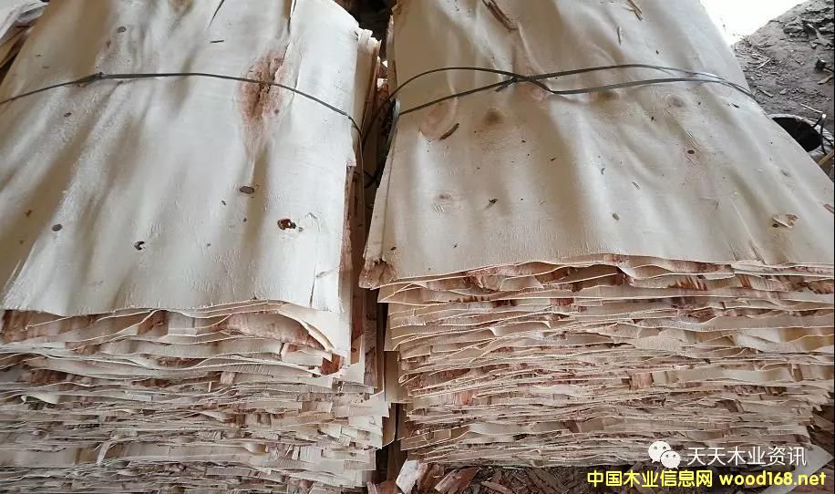 ��ľƤ�ӵ�Ԕ����B