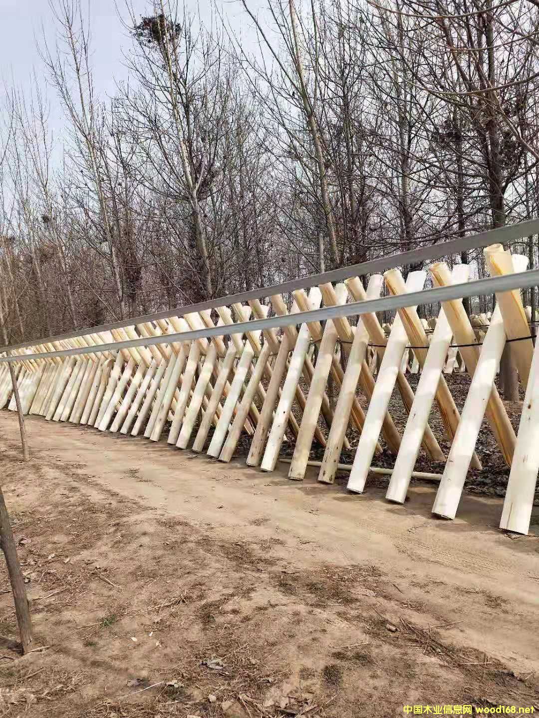 ��ľ��Ƥ��Ԕ����B