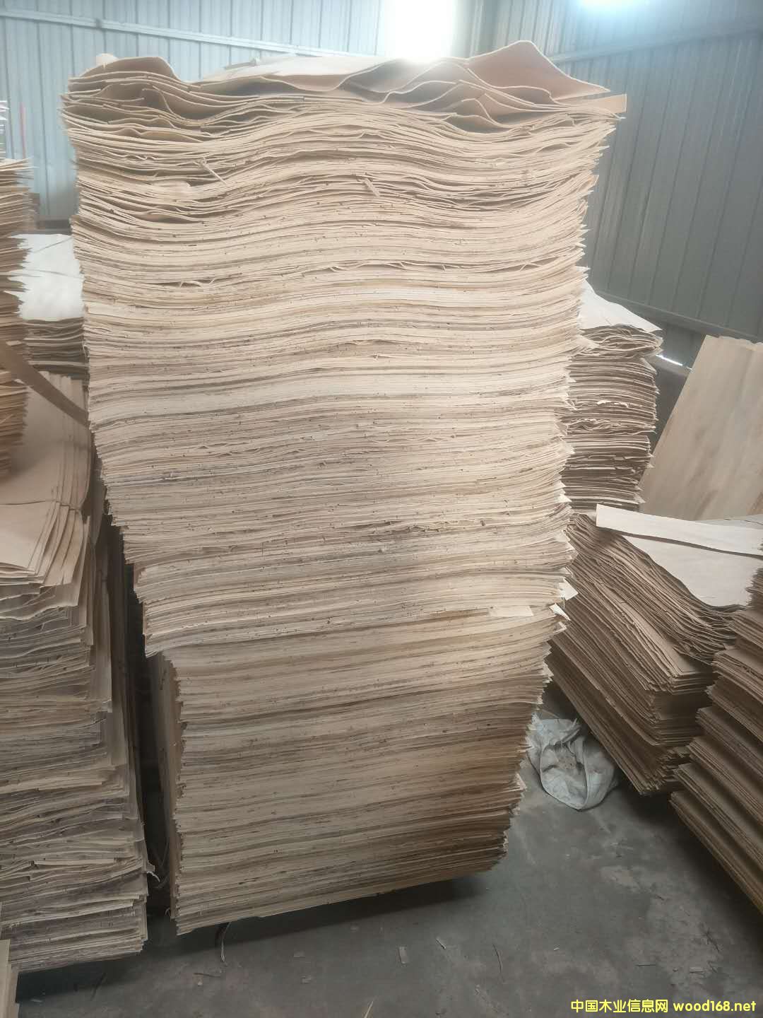 ���׵�Ԕ��(x��)��B