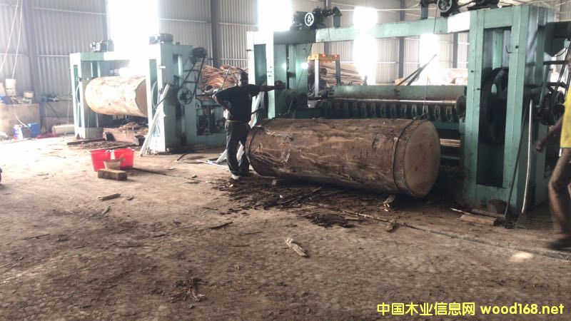  ��Ԕ����B