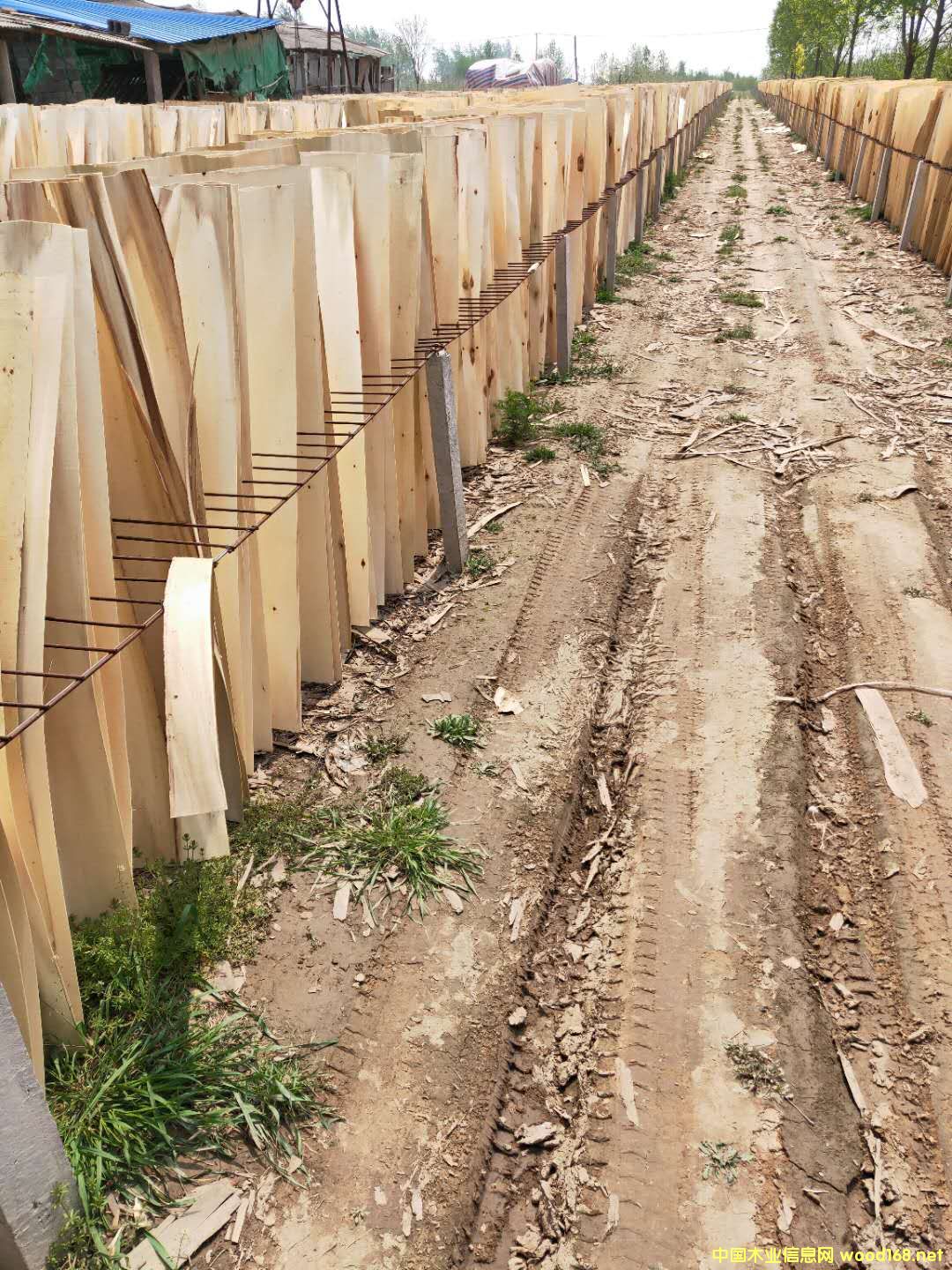  ��Ԕ����B