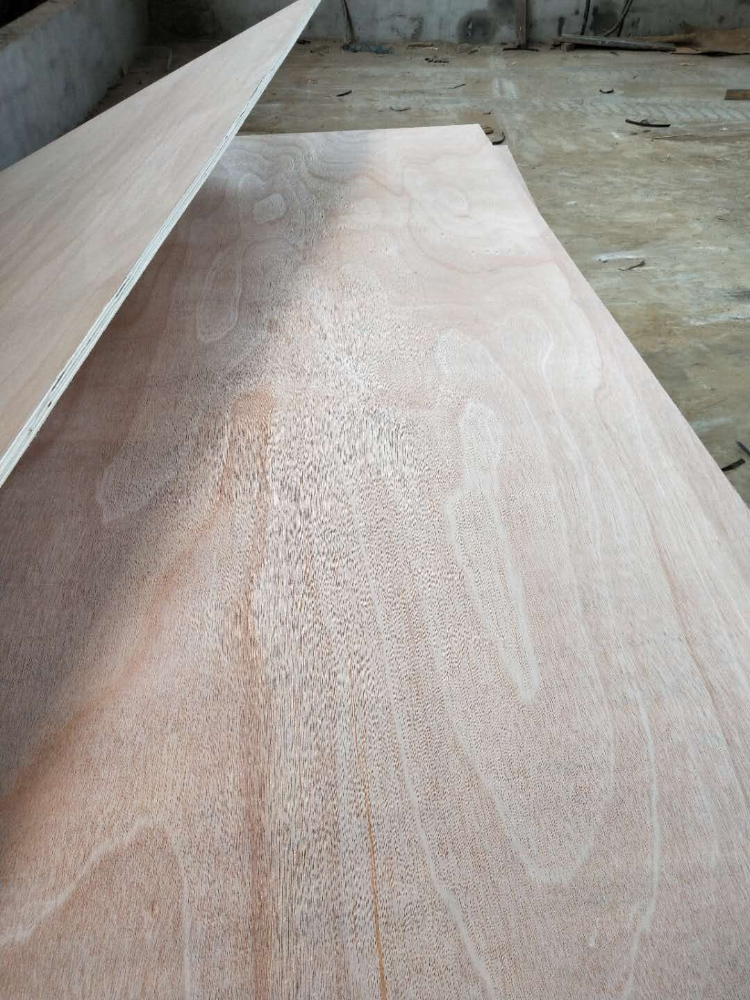 ��ĵ�Ԕ����B