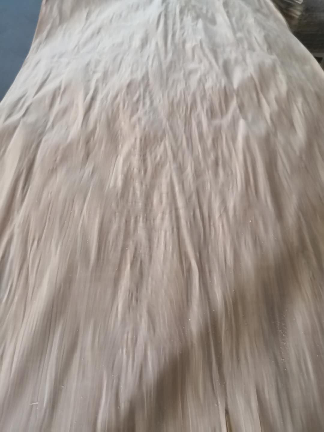 ��ľ��Ƥ��Ԕ����B