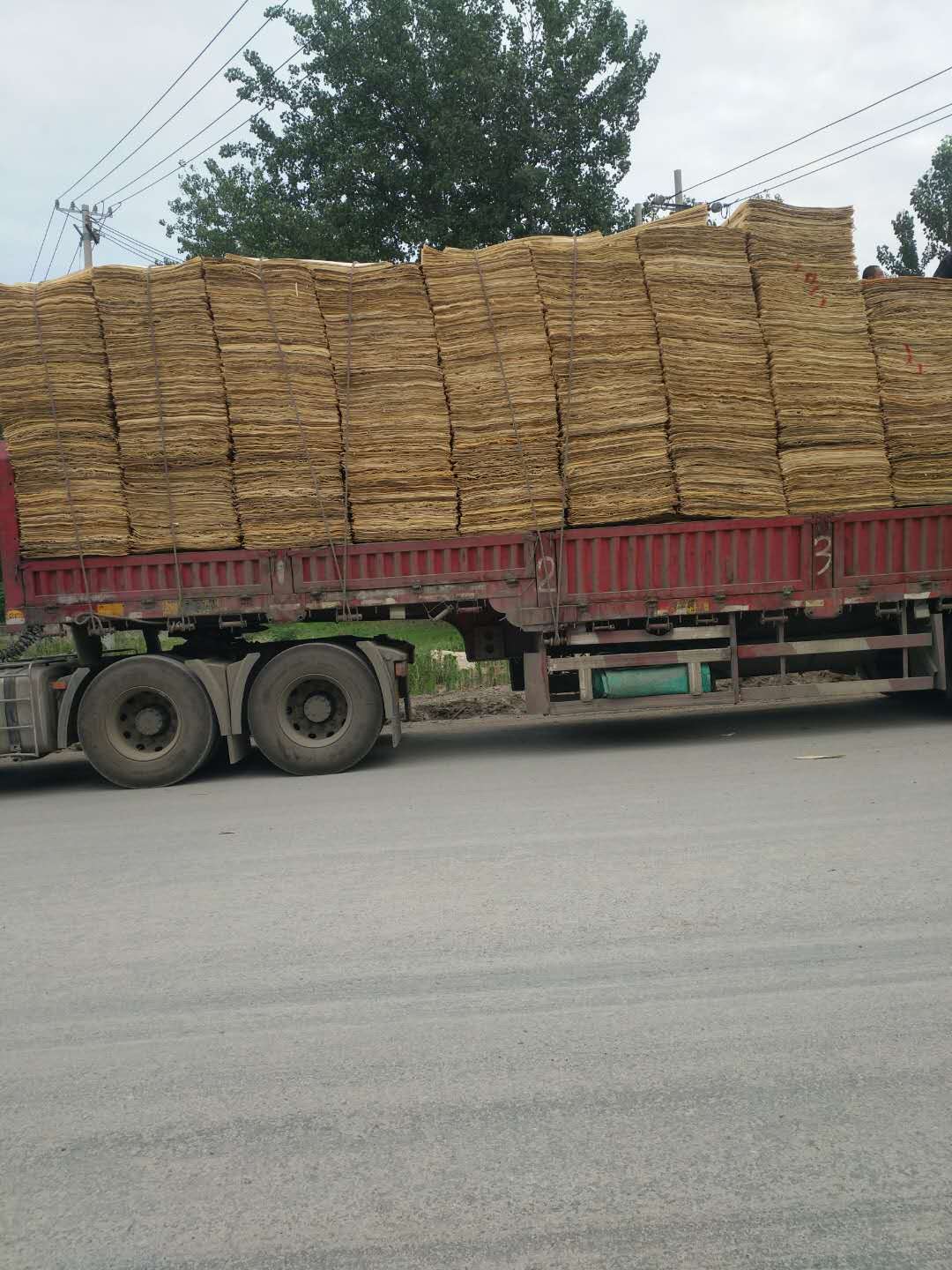 ��ľƤ�ӵ�Ԕ����B