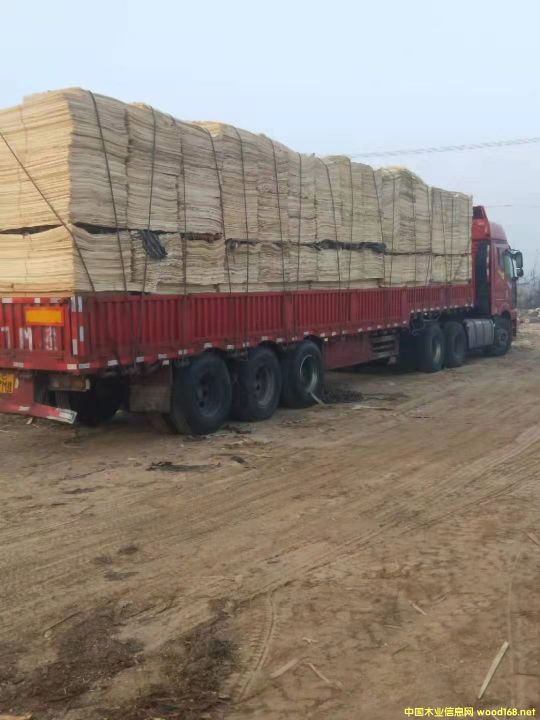 ��ľ�ΰ��Ԕ����B