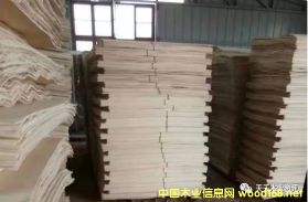 �S�h��ľ��ƴ��Ԕ��(x��)��B