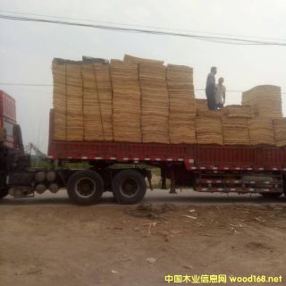 �S�h��ľ��ƴ��Ԕ��(x��)��B