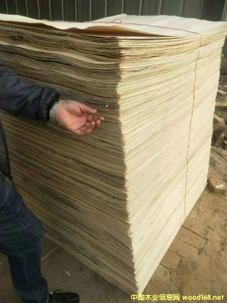 �S�h��ľ��ƴ��Ԕ��(x��)��B