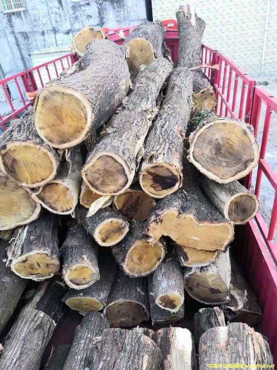 ���ڴ��~������