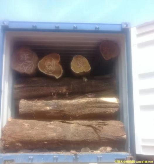 [��] �L�ڹ������~��˼ľ�� ������ľ��ACACIA