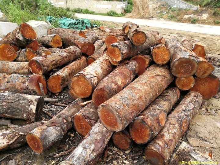 [��] ����(y��ng)�һ�оľ���һ��İ�ģ���mahogany,���~�һ��ģ������һ���